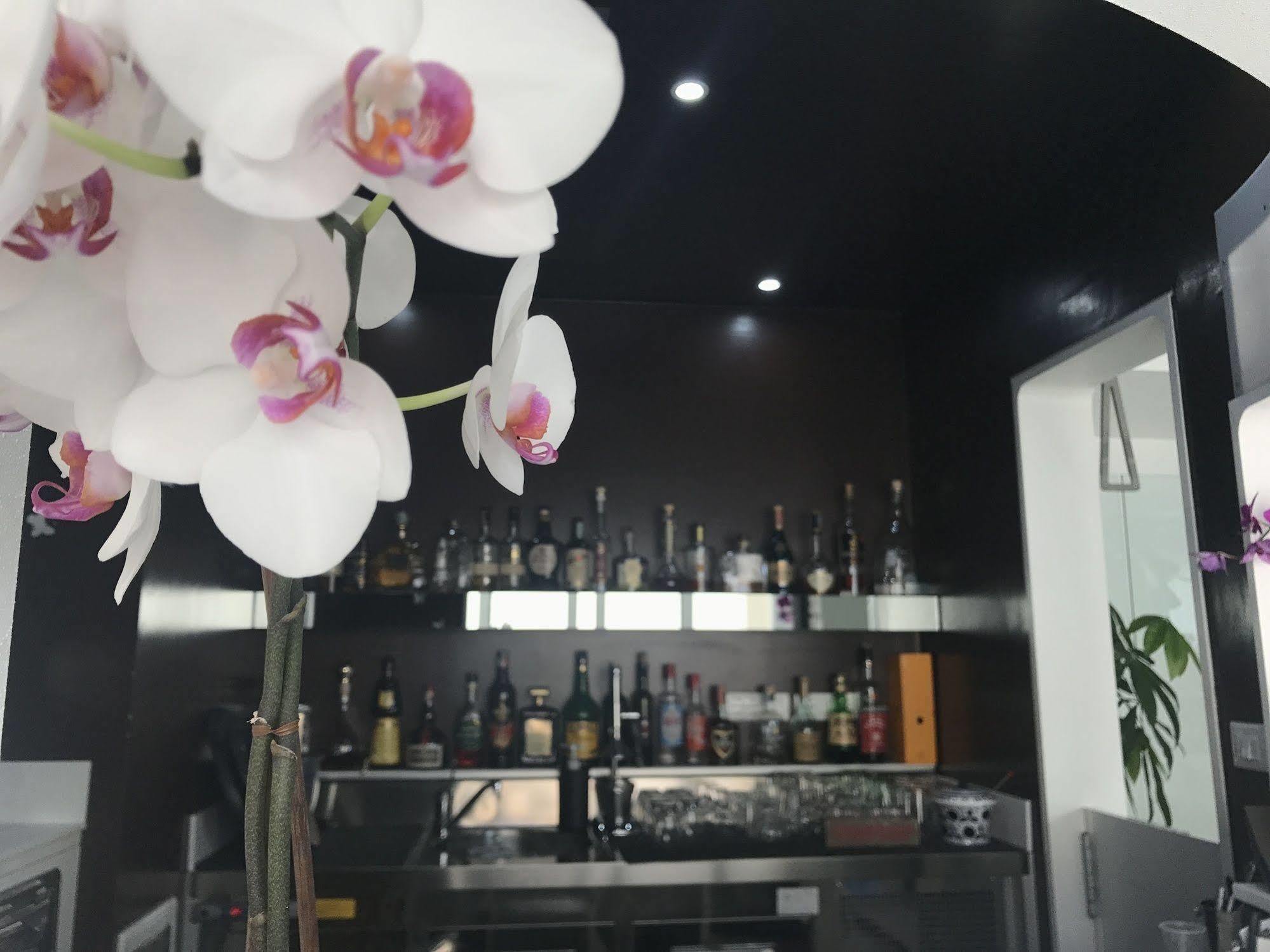Quihotel Porto Cesareo Bagian luar foto